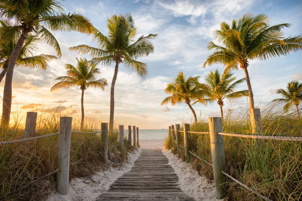 Footbridge to the beach